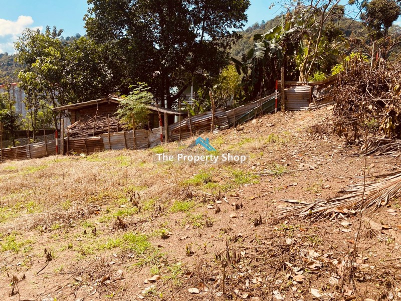 .5 perches Land for sale in Thannekubura,Kandy• Kandy city limit land• ideal for living and investment purpose• Water, Electricity, and facilities are available.• Documents in order.• Quiet natural surroundings.• Taxi Stand, Shops,Supermarkets, Bank: 5 minutes.• Easy access to " Kandy Town", only 3.5 km away. Call us for an appointment to visit the property.Please get in touch with us for more details: Hotline - 0777 507501Genuine buyers only.NO BROKERS PLEASE.Visit our website for more properties.